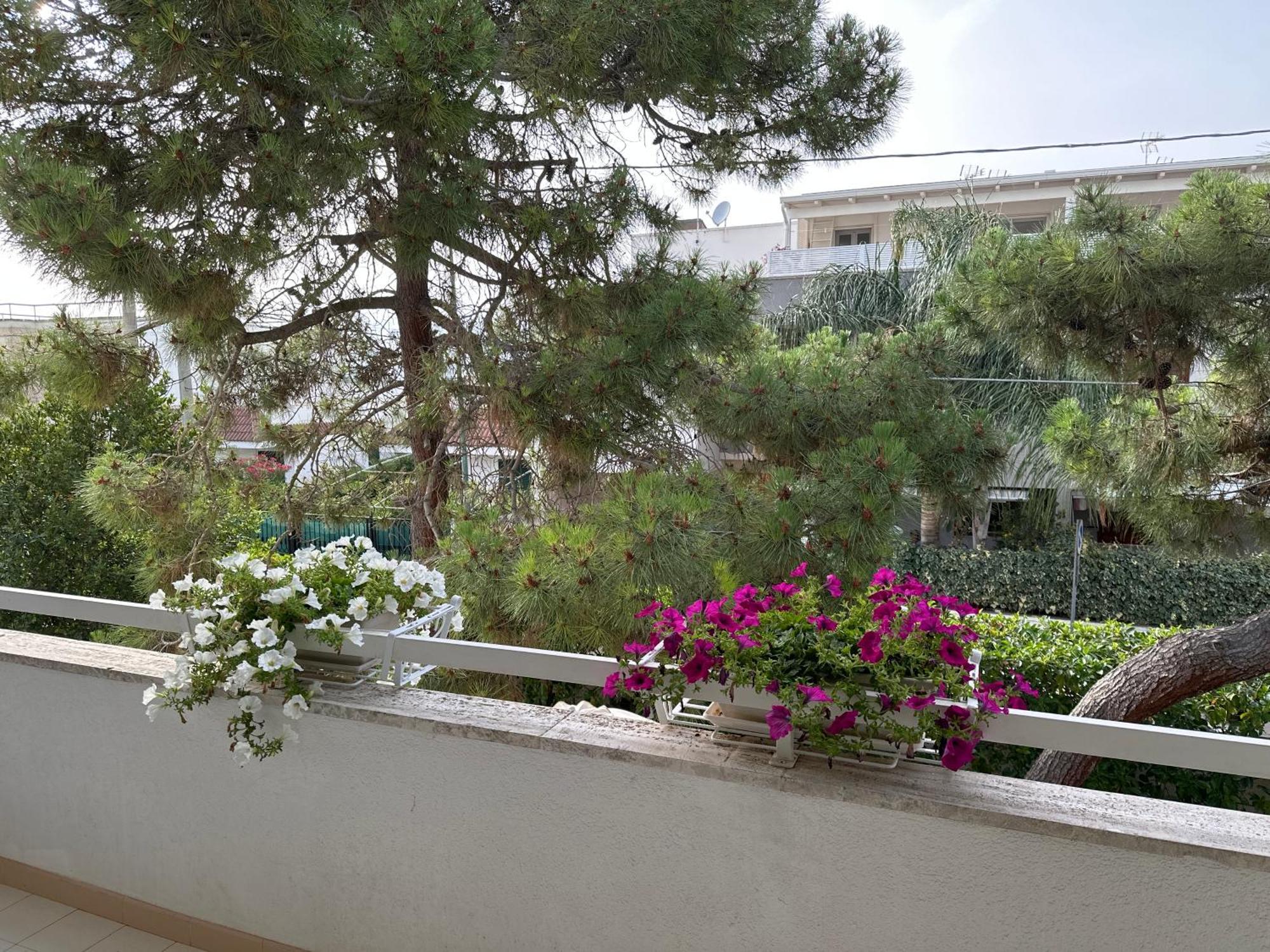 Villa Teresa Maria Порто Чезарео Екстериор снимка